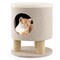 3-in-1 Cat Condo Stool with Scratching Posts and Seat Cushion Hidden Pet Bed Ottoman